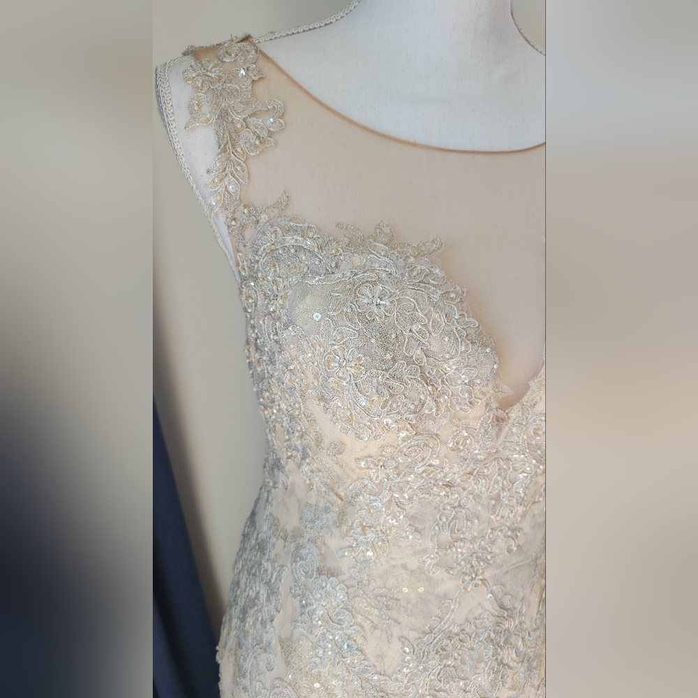 DAVIDS BRIDAL | Champagne Lace Beaded Dress - Picture 11 of 16